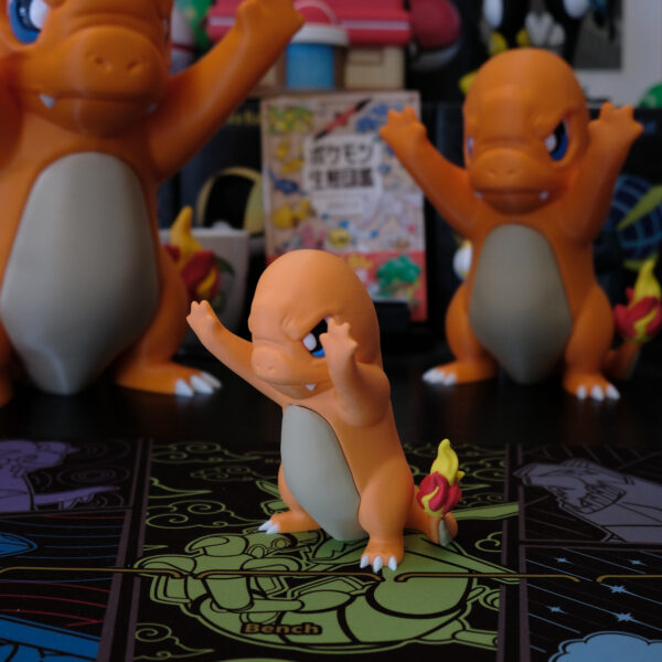 Window Pokémon Charmander - Small formaat